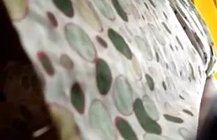 XXX అద్భుతమైన శిశువు కలిగి పురుషుడు కాస్టింగ్