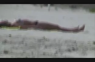 XXX డార్క్ బొచ్చు నిపుల్