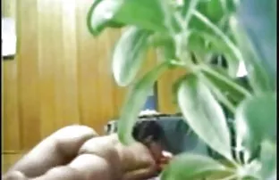 XXX తీసుకువచ్చారు అతిథులు స్త్రీ పురుష జననేంద్రియాలు కలిగిన జీవి