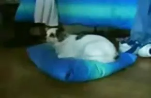 XXX వివాహితులు జంట ఉపసంహరించుకోవాలని నిర్ణయించుకుంది తన ఇంట్లో పోర్న్