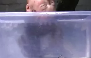 XXX ఒక సెషన్ వెఱ్ఱి ఫన్ తో slutty నల్లటి జుట్టు గల స్త్రీని