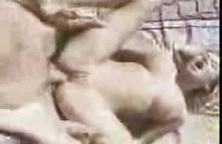 XXX నల్లటి జుట్టు గల స్త్రీని catches the buzz