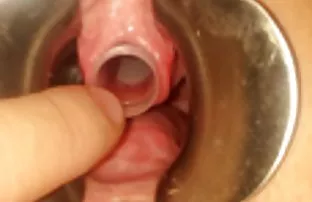 XXX జూలియా Dorval సభ్యుడు