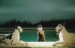 XXX తీసుకొని బాత్